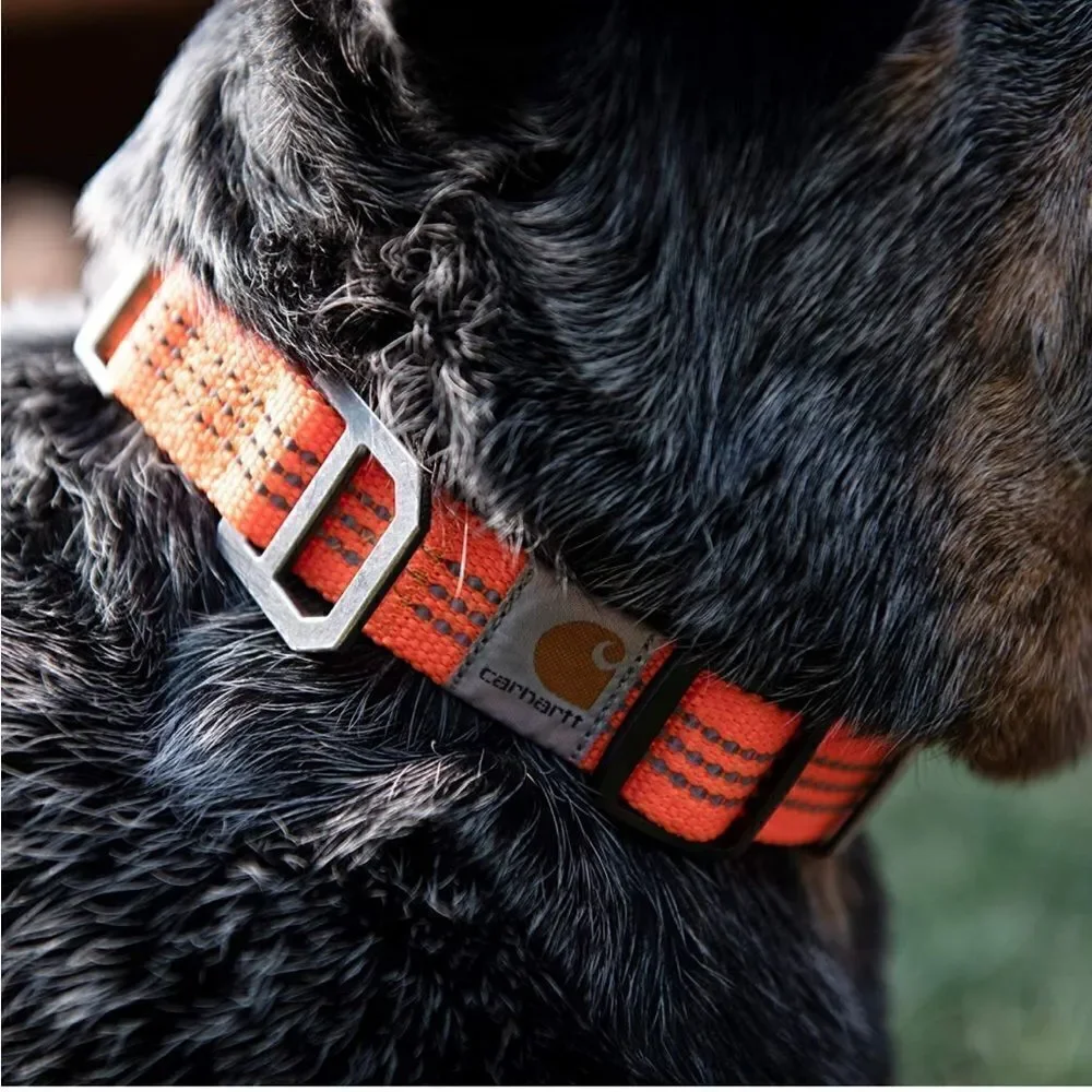🥳 HP 🥳 Orange Carhartt Dog Collar